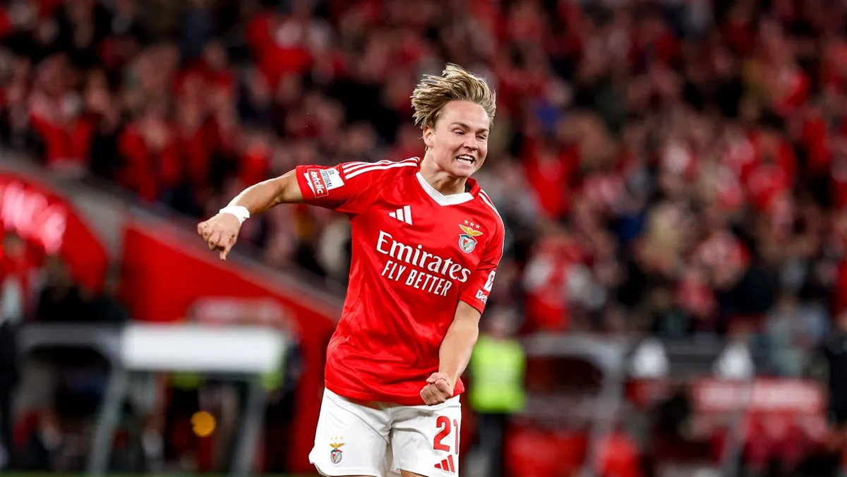 Andreas schjelderup