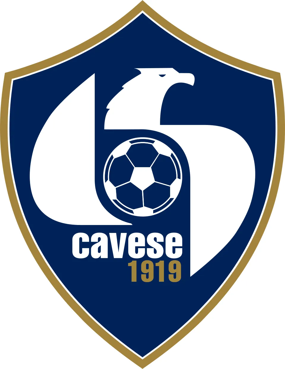 Profil klub sepak bola Italia Cavese 1919