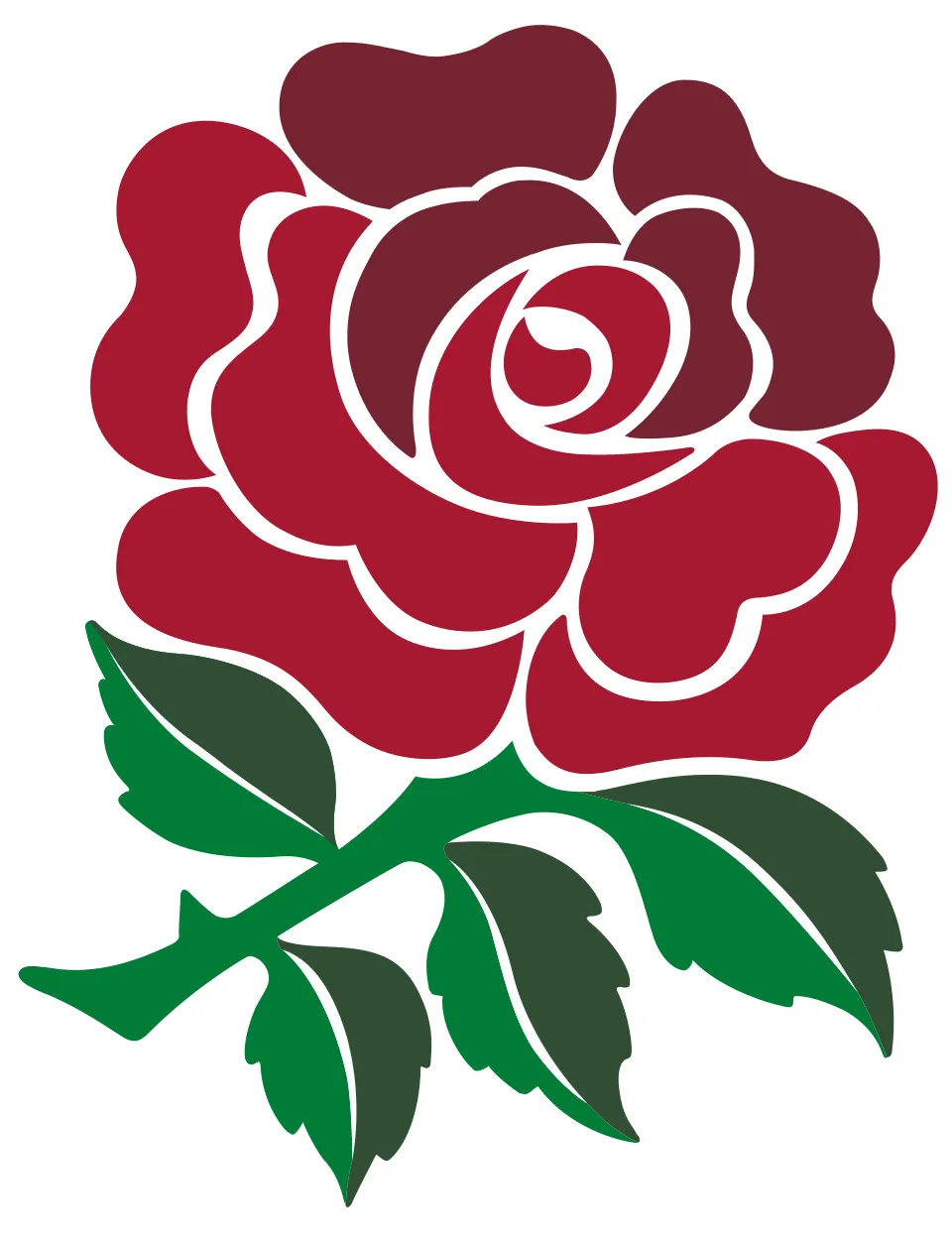 Tim nasional rugby union Inggris dalam pertandingan internasional