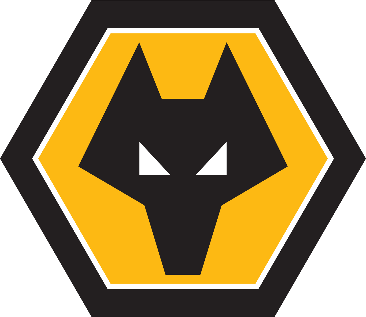 Wolverhampton Wanderers F.C. klub sepak bola profesional asal Inggris
