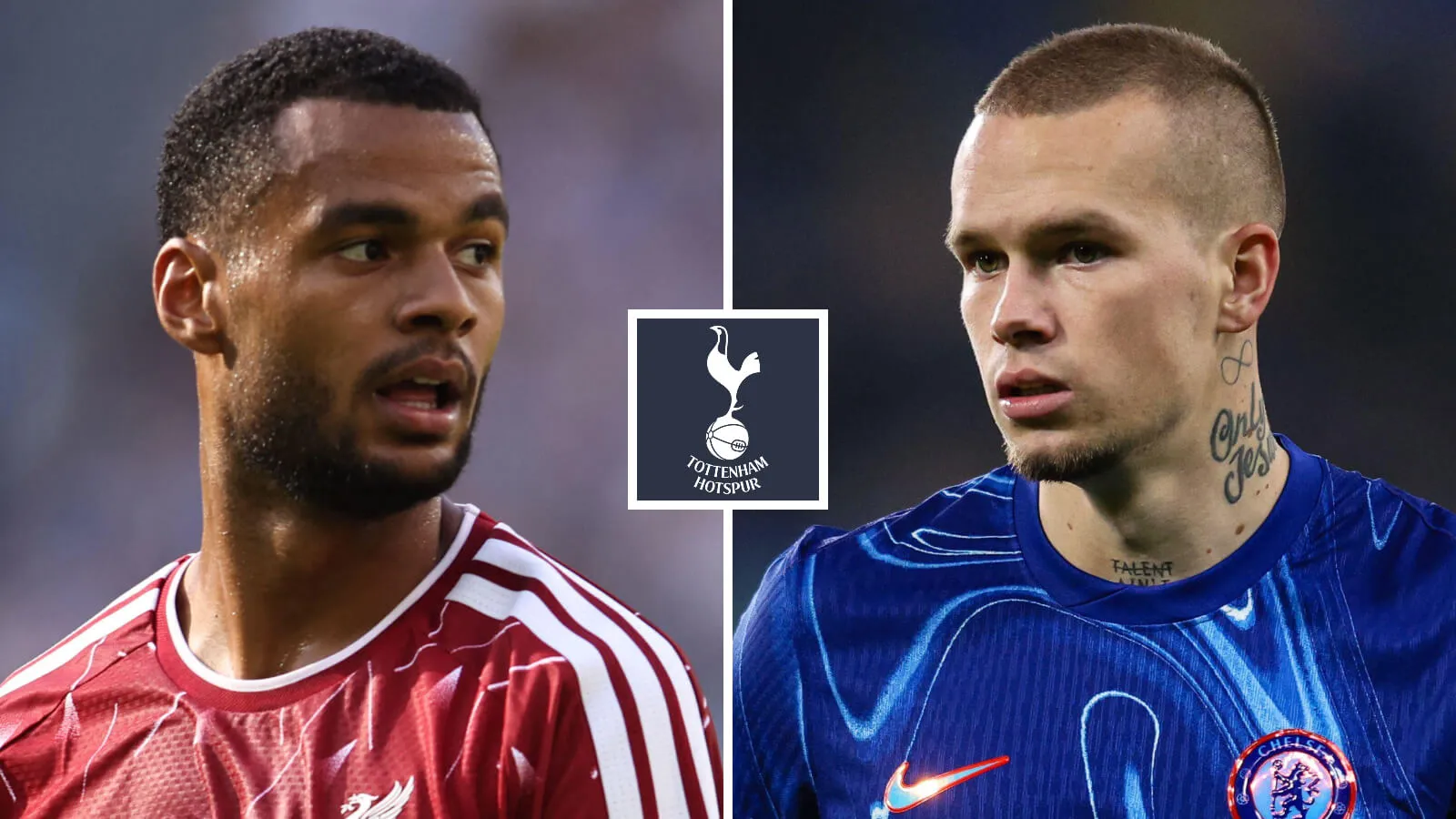 Tottenham siapkan tawaran resmi baru untuk merekrut Cody Gakpo dari Liverpool